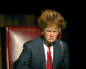 Donald Trump's Birdnest Hair