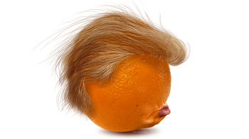 Trump Orange Head